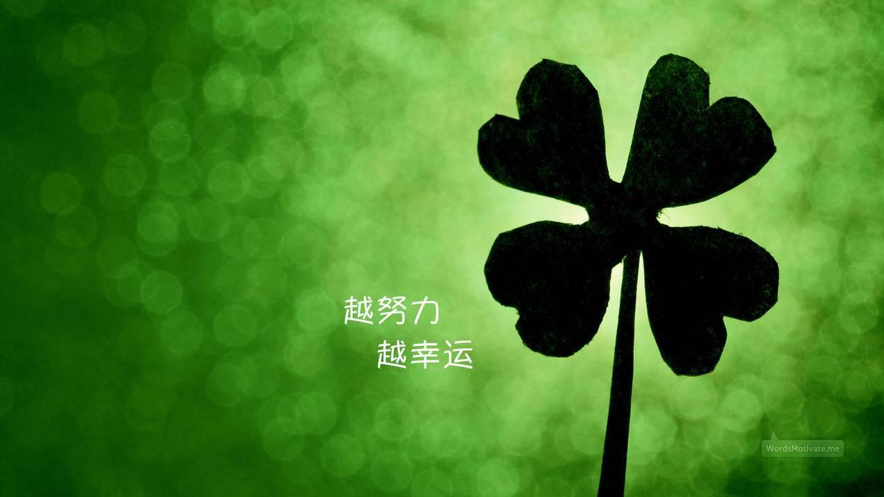 KS在线业务自助平台业务下单-ks业务平台24小时免费-抖音粉丝业务套餐